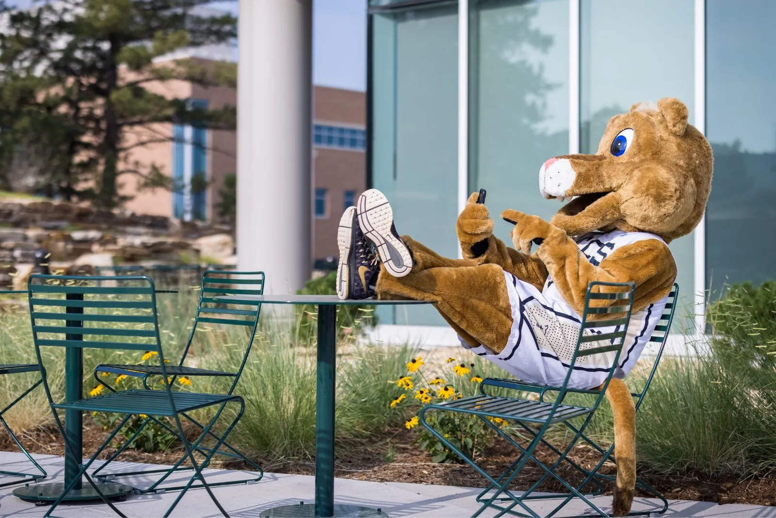 Clyde, the UCCS Mascot, sitting at a table outside on his phone